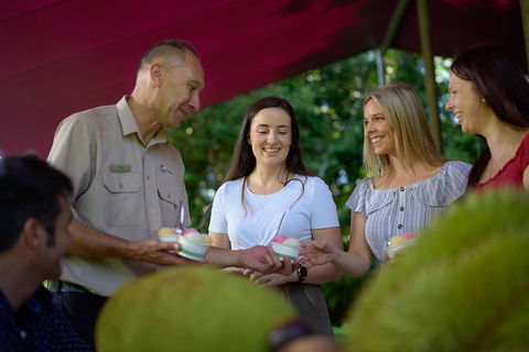 Daintree And Cape Tribulation Tour From Cairns - Tourism Brisbane 1