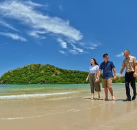 Daintree and Cape Tribulation Tour from Cairns - Brisbane Tourism