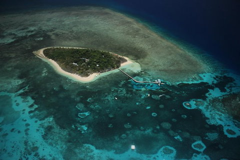 Great Barrier Reef High-Wing Scenic Flight From Cairns - Brisbane Tourism 4