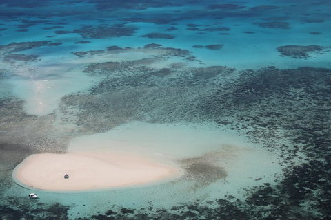 Great Barrier Reef High-Wing Scenic Flight From Cairns - Brisbane Tourism 2