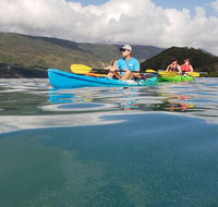 Kayak Turtle Tour from Palm Cove - Brisbane Tourism