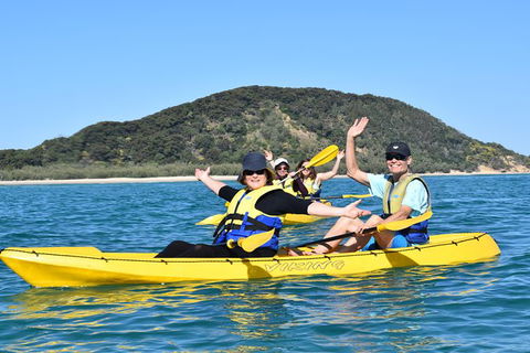 Kayak With Dolphins And 4WD Great Beach Drive Day Trip From Noosa - Tourism Brisbane 6