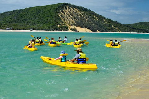 Kayak With Dolphins And 4WD Great Beach Drive Day Trip From Noosa - Tourism Brisbane 8