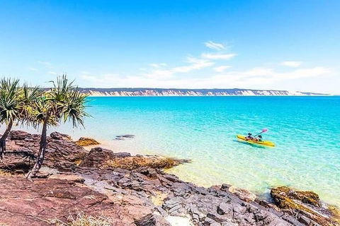 Kayak With Dolphins And 4WD Great Beach Drive Day Trip From Noosa - Tourism Brisbane 3