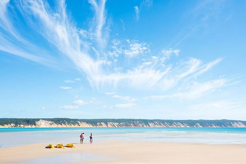 Kayak With Dolphins And 4WD Great Beach Drive Day Trip From Noosa - Tourism Brisbane 16