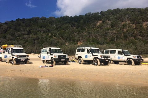 Kayak With Dolphins And 4WD Great Beach Drive Day Trip From Noosa - Tourism Brisbane 9