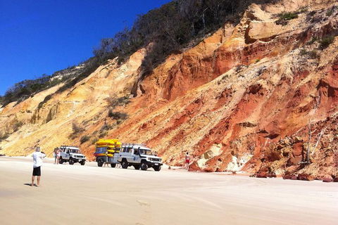Kayak With Dolphins And 4WD Great Beach Drive Day Trip From Noosa - Tourism Brisbane 12