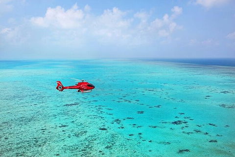 Ultimate Great Barrier Reef And Rainforest 45-minute Helicopter Tour - Tourism Brisbane 4