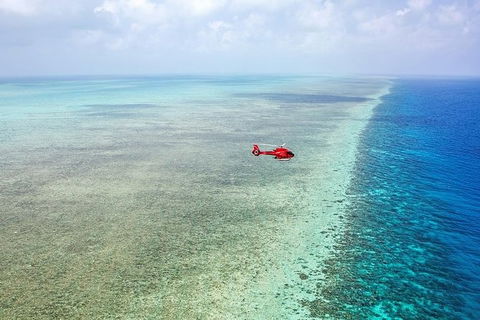Ultimate Great Barrier Reef And Rainforest 45-minute Helicopter Tour - Tourism Brisbane 5