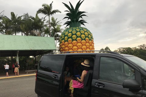 Private Transfer From Sunshine Coast Airport To Noosa 8 Seater + Luggage Trailer - Tourism Brisbane 2