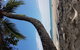 Airport Transfers Between Cairns Airport And Cairns City - thumb 4
