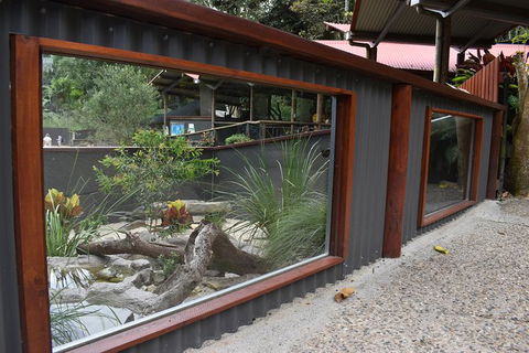 Kuranda Koala Gardens And Birdworld Admission Tickets - Tourism Brisbane 3