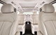 Luxury Van, Private Transfer, Cairns Airport - Port Douglas. - thumb 2