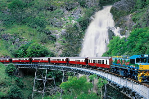 Kuranda Day Trip From Cairns By Scenic Railway And Skyrail Including Army Duck Rainforest Tour - Tourism Brisbane 5