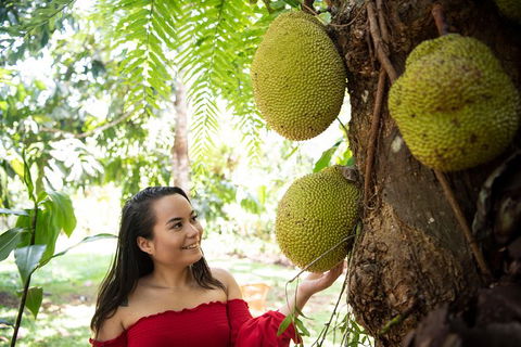 Kuranda Day Trip From Cairns By Scenic Railway And Skyrail Including Army Duck Rainforest Tour - Tourism Brisbane 4