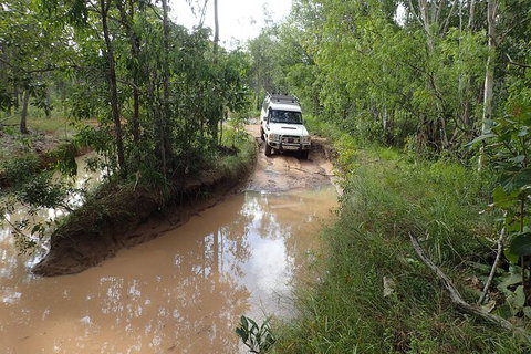 Cairns 4WD Waterfall And Rainforest Tour Including Kuranda Scenic Railway - Brisbane Tourism 3