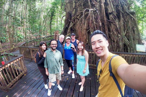 Cairns 4WD Waterfall And Rainforest Tour Including Kuranda Scenic Railway - Brisbane Tourism 6