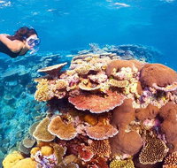 6-Day Best of Cairns Including the Great Barrier Reef Kuranda and the Daintree Rainforest - Brisbane Tourism