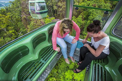 8-Day Cairns Tour: Great Barrier Reef, Kuranda, Daintree Rainforest - Tourism Brisbane 1