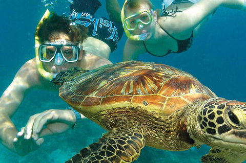 8-Day Cairns Tour: Great Barrier Reef, Kuranda, Daintree Rainforest - Tourism Brisbane 2