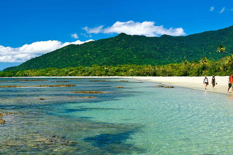 8-Day Cairns Tour: Great Barrier Reef, Kuranda, Daintree Rainforest - Tourism Brisbane 4