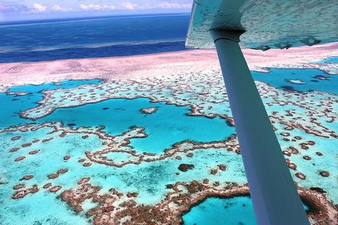 8-Day Cairns Tour: Great Barrier Reef, Kuranda, Daintree Rainforest - Tourism Brisbane 0