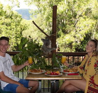 Hartley's Crocodile Adventures Entry Ticket and Breakfast with the Koalas - Tourism Brisbane