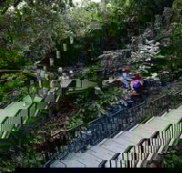 4-Day Cairns with Great Barrier Reef and Daintree Rainforest - Tourism Brisbane