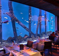Cairns Aquarium and small group City Sightseeing Tour - Brisbane Tourism