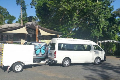 Airport Transfer To Or From Cairns Hotels For Up To 13 People (7am-10pm) - Brisbane Tourism 3