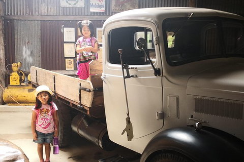 Historic Village Herberton, Kuranda Village And The Skyrail Rainforest Cableway - Brisbane Tourism 5