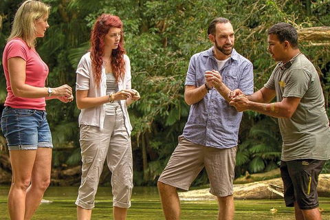 Sightseeing Tour - Full Day - Tourism Brisbane 1