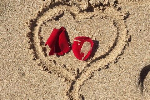 Elope In Paradise - Weddings At Mission Beach - Brisbane Tourism 3