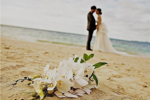 Airport Transfer - Port Douglas To Cairns Airport - Tourism Brisbane 1