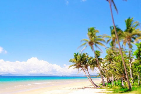 Airport Transfer - Mission Beach To Cairns Airport - Tourism Brisbane 3
