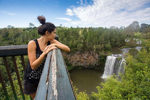Boutique Brisbane To Cairns Australian East Coast Tour - 8 Day Small Group - Tourism Brisbane 0