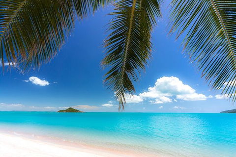 Reef, Wildlife & Rainforest - Reef & Beyond Guided Holidays - Tourism Brisbane 4