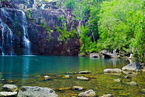 Reef, Wildlife & Rainforest - Reef & Beyond Guided Holidays - Tourism Brisbane 0