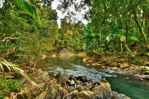 Reef, Wildlife & Rainforest - Reef & Beyond Guided Holidays - Tourism Brisbane 3