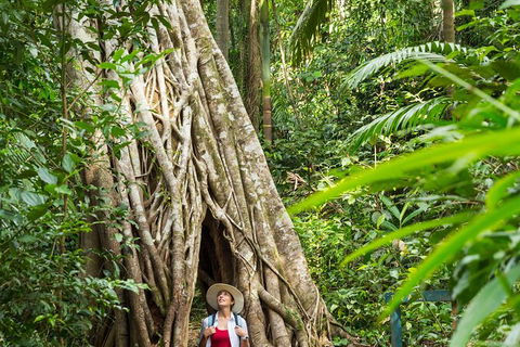 Reef, Wildlife & Rainforest - Reef & Beyond Guided Holidays - Tourism Brisbane 2
