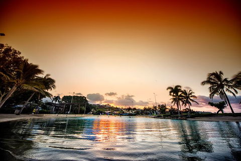 Reef, Wildlife & Rainforest - Reef & Beyond Guided Holidays - Tourism Brisbane 6
