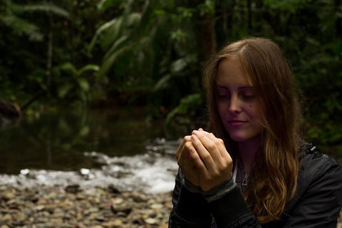 Daintree And Cape Tribulation Full Day Guided Tour - Tourism Brisbane 4