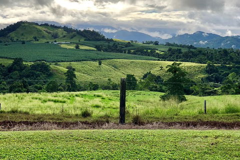 Tableland Tasting Tour - Brisbane 4u 0