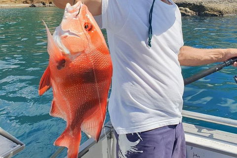 Adventure Fishing Combo Day - Fish, Swim, Whitehaven, Hill Inlet Bush Walking - Brisbane 4u 2