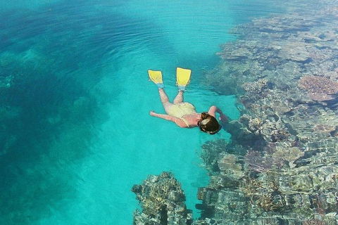 Great Barrier Reef Private Expedition Cruise (min 4 Day Max 8 Guests) - Tourism Brisbane 6