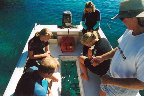 Great Barrier Reef Private Expedition Cruise (min 4 Day Max 8 Guests) - Tourism Brisbane 1
