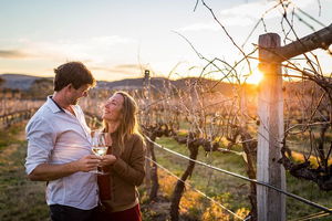 Stanthorpe Winery Experience