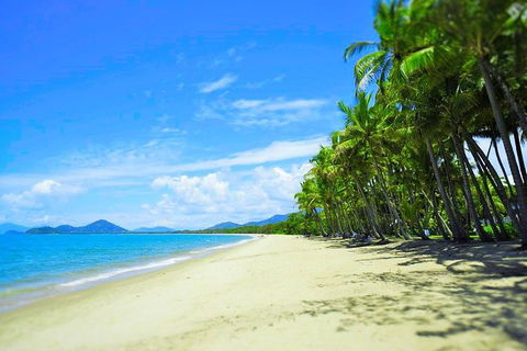 Airport Transfer - Palm Cove, Kewarra Beach & Trinity Beach To Cairns Airport - Tourism Brisbane 2