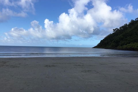 Daintree Luxury Limousine Tour - Full Day - Tourism Brisbane 6