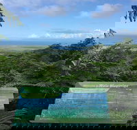 Daintree Luxury Limousine Tour - Full Day - Tourism Brisbane